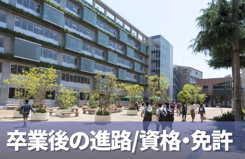 卒業後の進路/資格免許