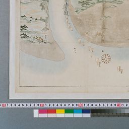 田中啓爾文庫貴重資料画像 越後國蒲原郡新潟濱村全圖 | 立正大学図書館