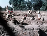 ネパールティラウラコット遺跡発掘調査風景